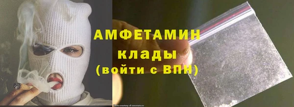 прущие грибы Снежногорск