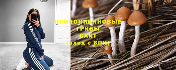 скорость mdpv Магас