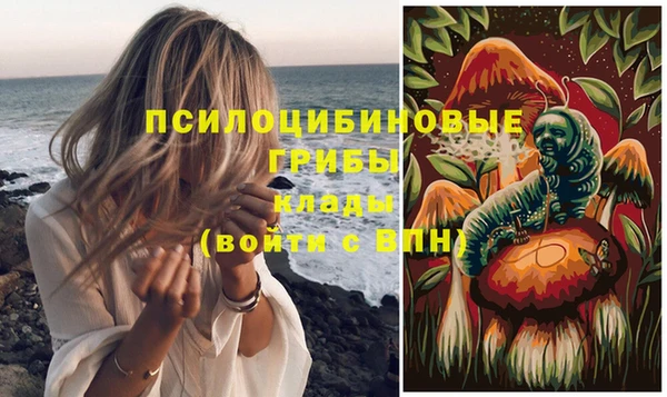 бошки Майский