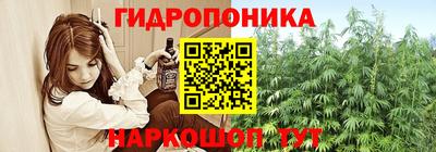 таблы Гусев