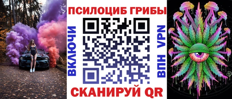 купить наркоту  Магадан  ссылка на мегу   Псилоцибиновые грибы Psilocybine cubensis 