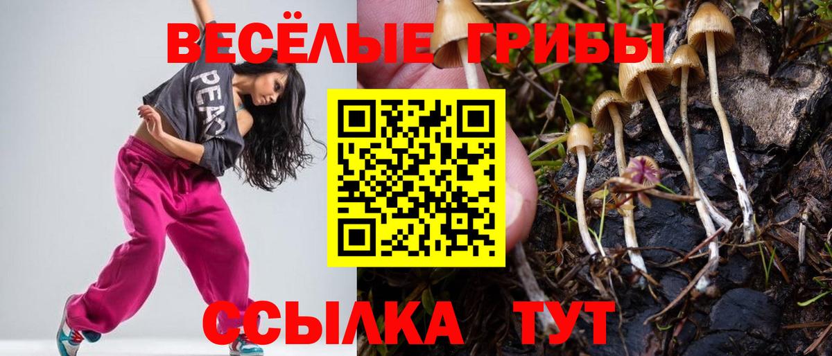 Магадан  Псилоцибиновые грибы прущие грибы  что такое наркотик  Вход с VPN 