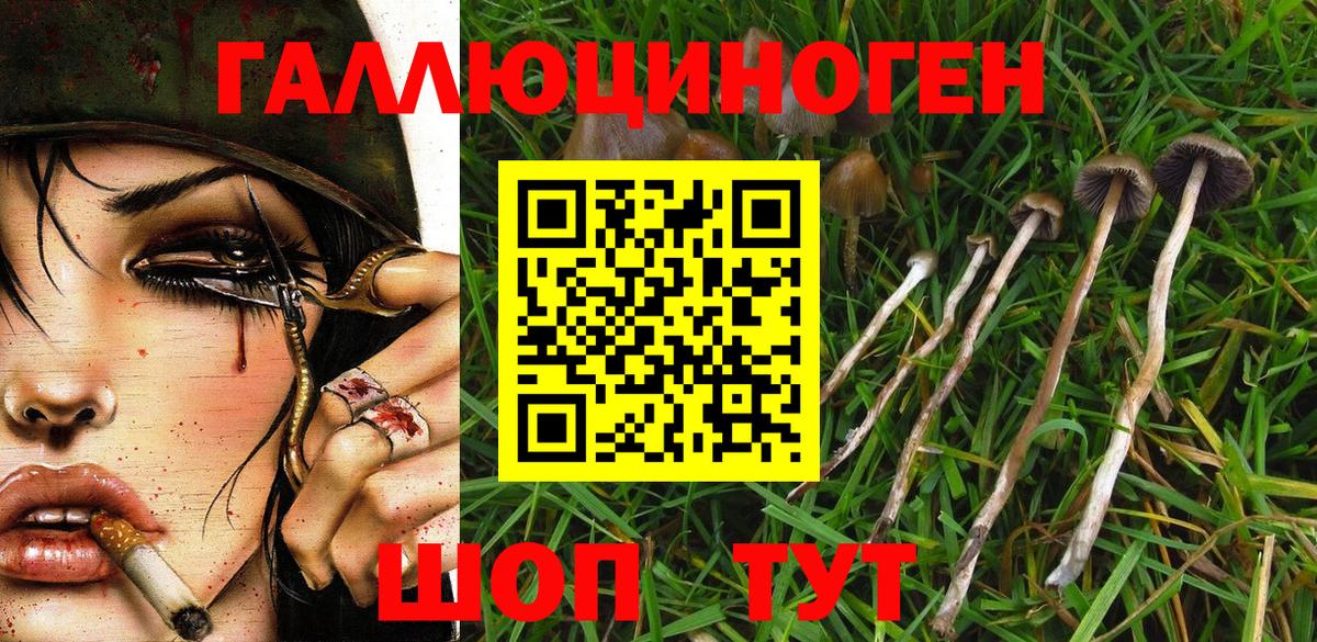 Псилоцибиновые грибы мухоморы Магадан