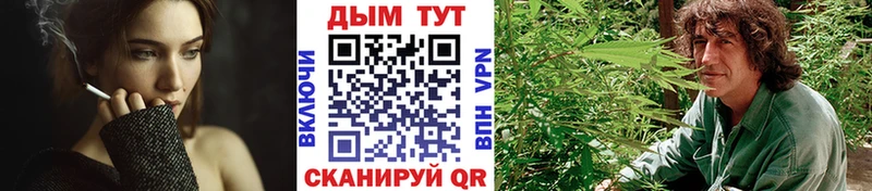 Конопля сатива  Магадан 